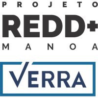Verra verified carbon standard